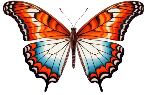 Papillon.